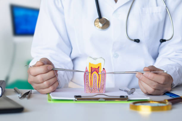 Best Emergency Broken Tooth Repair in Warren, MN